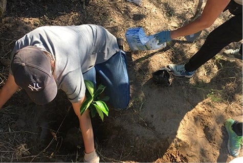 JSED_Service-Learning_Farm_Tree-planting-min